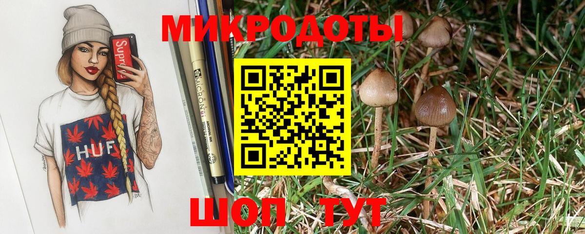 Галлюциногенные грибы MAGIC MUSHROOMS Артём