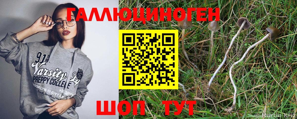 Псилоцибиновые грибы Psilocybe  Вход с VPN  Псилоцибиновые грибы ЛСД  Артём 